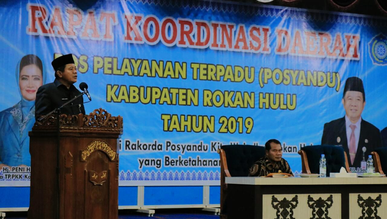 Tingkatkan Layanan Posyandu, Pemkab Rokan Hulu Taja Rakor Tingkat Kabupaten Rokan Hulu Tahun 2019