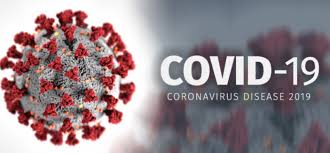 Update Covid-19 Rohul 2 September 2021 : Pasien Sembuh Meningkat 34 Orang, 17 Kasus Baru, 1 Meninggal