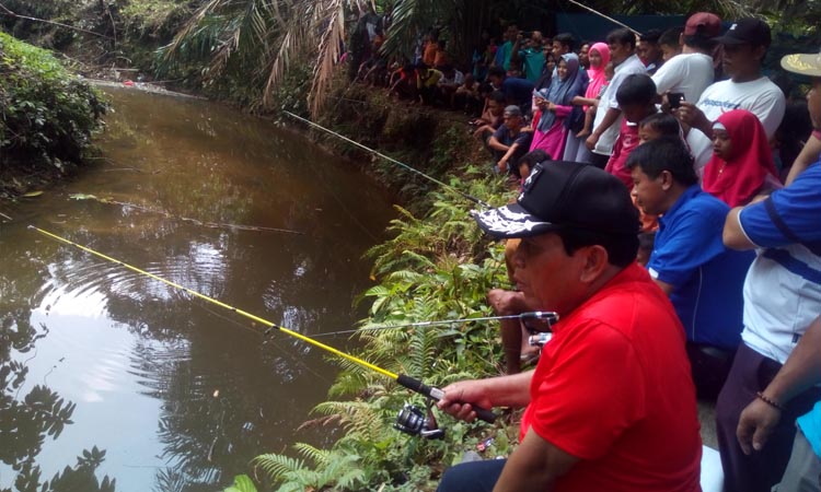 Buka Panen Ikan Larangan Di Desa Sungai Salak, Bupati dan Sekda Ikut Mancing Bersama Masyarakat
